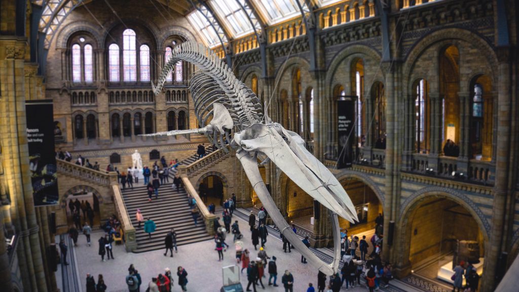 10 National History Museum Event Venues Details!