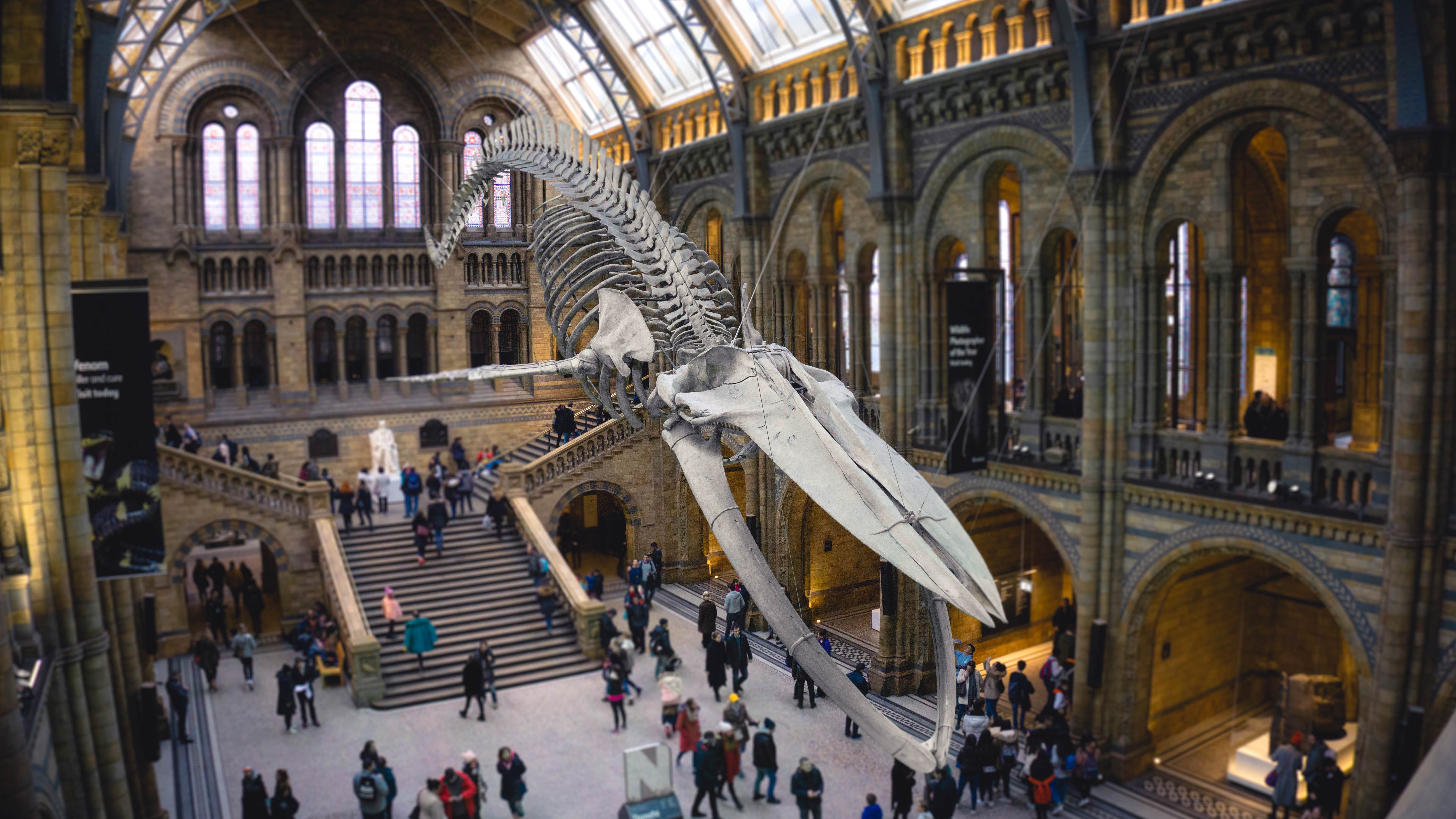 10 - National History Museum Event Venues
